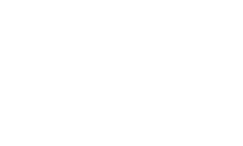 Has Kombi Logo